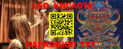 гидра Можга