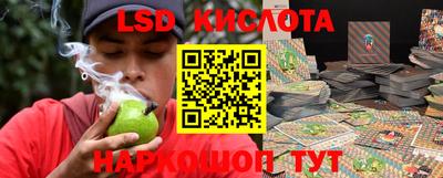гидра Можга