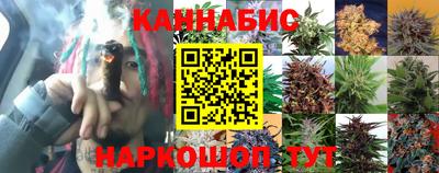гидра Можга