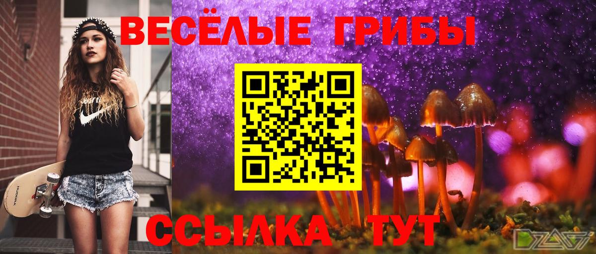 Галлюциногенные грибы GOLDEN TEACHER Хасавюрт