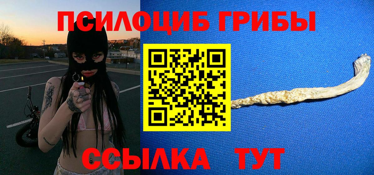 Хасавюрт  Галлюциногенные грибы Psilocybine cubensis  купить наркоту  Галлюциногенные грибы Psilocybine cubensis  Вход с VPN 